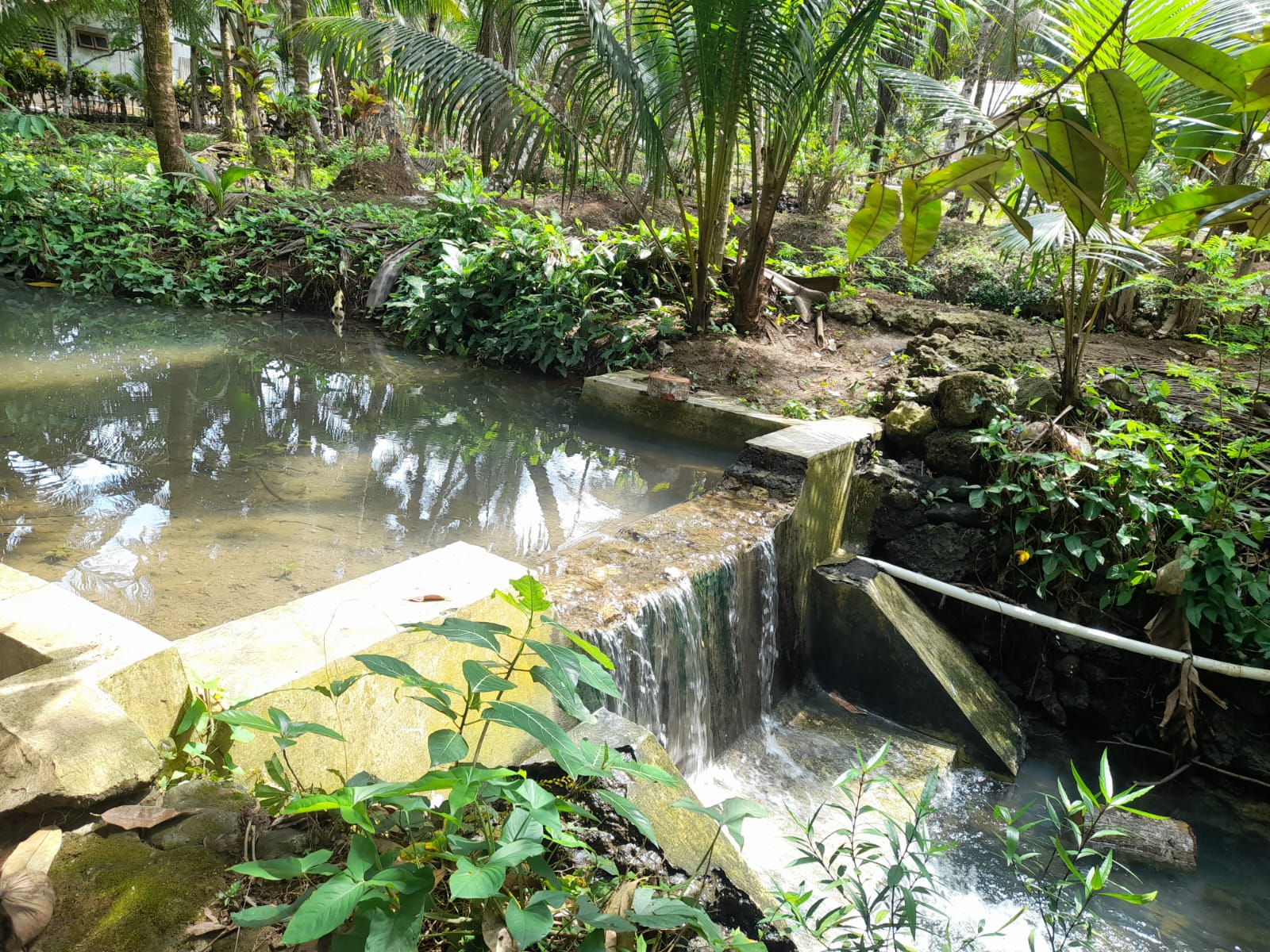 Usulan Lokasi Sedekah Air untuk Pondok Pesantren Nurul Huda Al-Gina di Dusun Sodong, Desa Batumalang, Pangandaran, Jawa Barat
